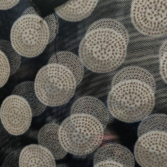 Adele & May sheer short sleeved navy blue & white dots shirt 1X - Picture 6 of 7